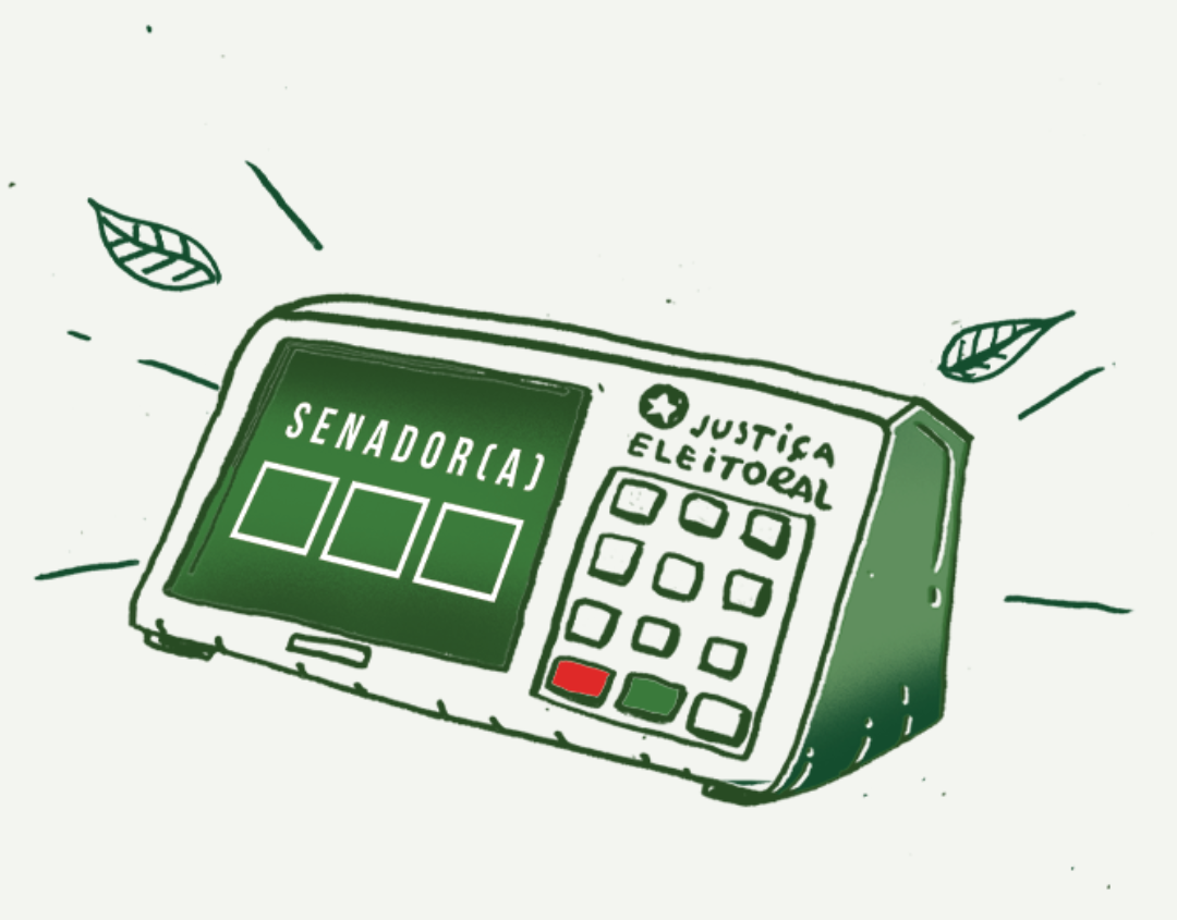 Eleições 2026: por que o seu voto para o Senado importa?
